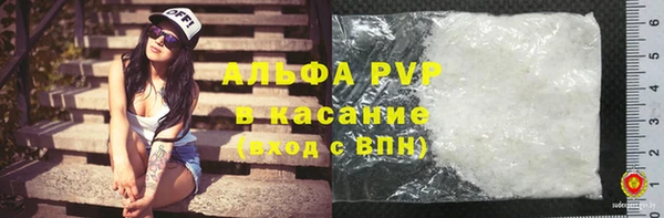 ГАЛЛЮЦИНОГЕННЫЕ ГРИБЫ Белокуриха