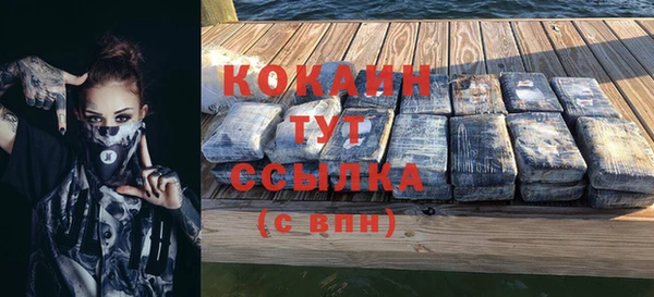 ГАЛЛЮЦИНОГЕННЫЕ ГРИБЫ Белокуриха