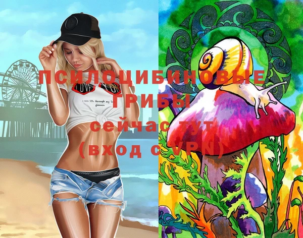 ГАЛЛЮЦИНОГЕННЫЕ ГРИБЫ Белокуриха