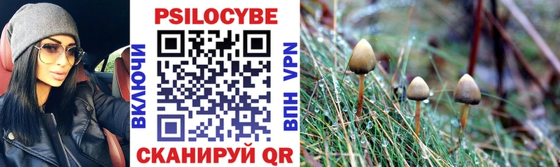 купить наркотик  Реутов  Псилоцибиновые грибы ЛСД 